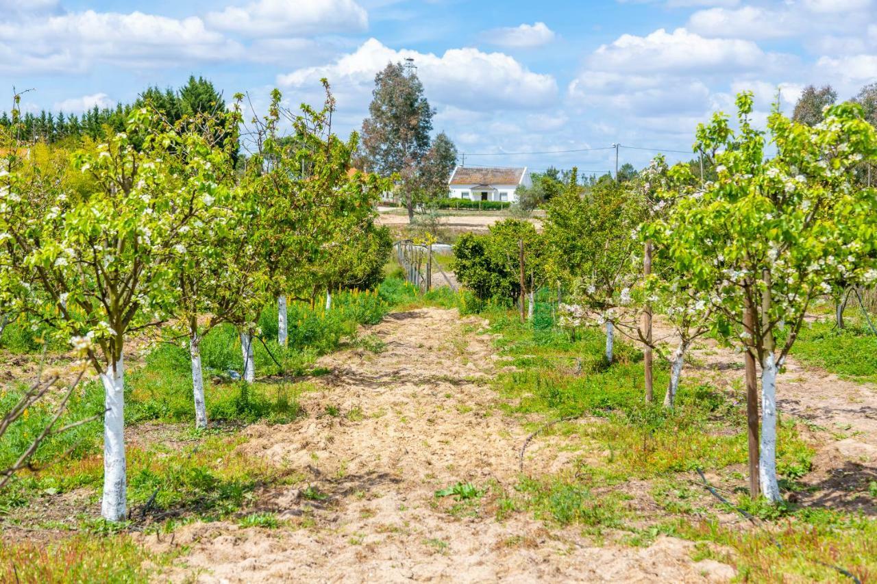 Chitaka'S Organic Farmhouse In Ribatejo Santo Estevao  Eksteriør billede